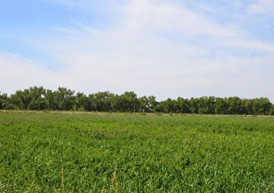 Rarely does a property combine senior water rights, exceptional - photo 8