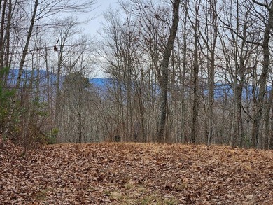 Lake Emory Lot For Sale in Franklin North Carolina
