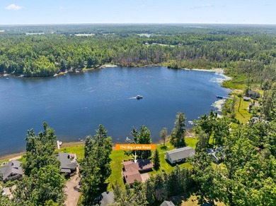 Come home to a wonderful WATERFRONT on ALL-SPORTS BIG LAKE! - photo 10