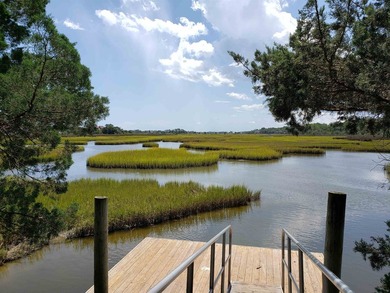 Welcome to your coastal retreat in the heart of the Pawleys - photo 49