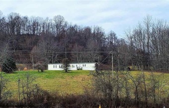 (private lake, pond, creek) Home For Sale in Grafton West Virginia