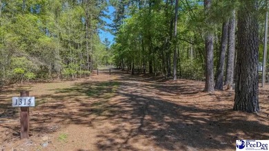 (private lake, pond, coastal) Acreage For Sale in Effingham South Carolina