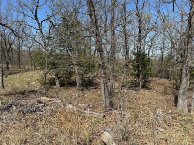 Lake Lot For Sale in Canadian, Oklahoma
