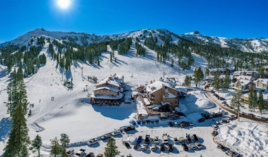 Caples Lake Condo For Sale in Kirkwood California