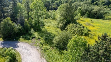 Check out this great spot with waterfront on the Indian River - photo 3