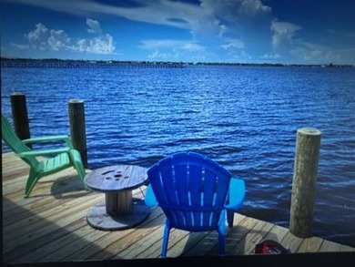 Fish from your Living room, Boat on the Manatee River or Braden - photo 1