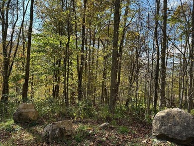 Located in Snowshoe's Hawthorne Valley neighborhood, this 1-acre - photo 2