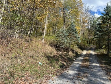 Located in Snowshoe's Hawthorne Valley neighborhood, this 1-acre - photo 3