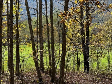 Located in Snowshoe's Hawthorne Valley neighborhood, this 1-acre - photo 5