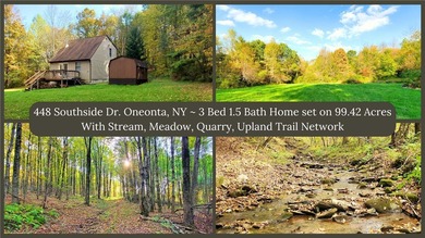 (private lake, pond, coastal) Home For Sale in Oneonta New York