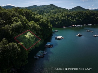 Lake Lot Sale Pending in Almond, North Carolina