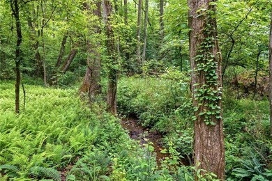 Nestled on 13.55 beautiful, unrestricted, usable acres, this - photo 46