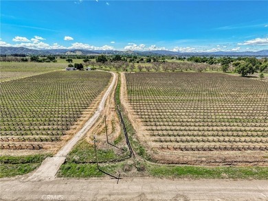 2195 stone Dr - photo 46