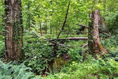 Nestled on 13.55 beautiful, unrestricted, usable acres, this - photo 47