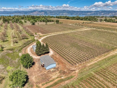 2195 stone Dr - photo 49