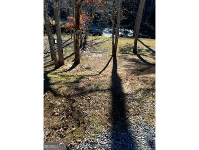 Lake Acreage For Sale in Ellijay, Georgia