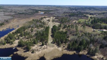 Own your own private 1650' airstrip on this 46.5-acre property - Lake Acreage For Sale in Buyck, Minnesota
