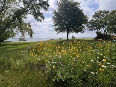 Truly Move-In Ready, This Lovely Home on Lake Huron Has So Many - photo 10