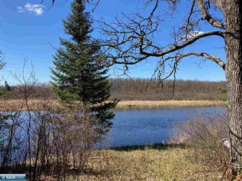 Vermilion River Acreage For Sale in Orr Minnesota