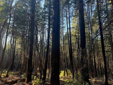 Klamath River Acreage For Sale in Happy Camp California