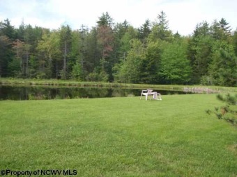 (private lake, pond, creek) Acreage For Sale in Davis West Virginia