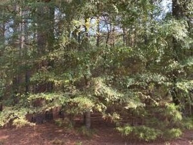 Lake Dardanelle Acreage For Sale in London Arkansas