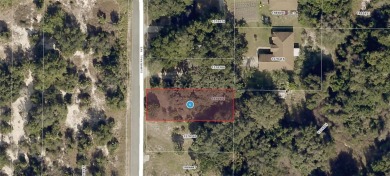 Lake Lot For Sale in Tavares, Florida