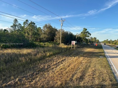 Lehigh Acres Area Lot For Sale in Lehigh Acres Florida