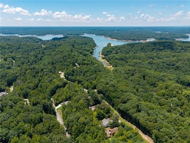 Amazing new build on Lake Hartwell in a gated golf course - photo 48