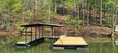 Amazing new build on Lake Hartwell in a gated golf course - photo 49