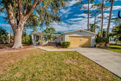 Lake Home For Sale in North Fort Myers Fl, Florida