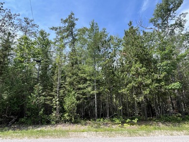 Rare opportunity to own five adjoining lots spanning nearly 2 - photo 1