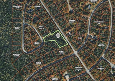 Rare opportunity to own five adjoining lots spanning nearly 2 - photo 2