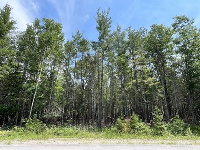 Rare opportunity to own five adjoining lots spanning nearly 2 - photo 5