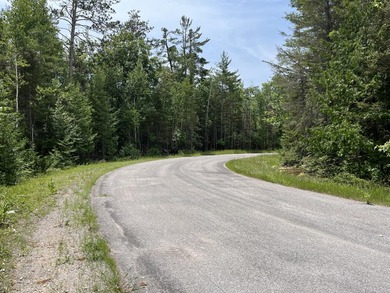 Rare opportunity to own five adjoining lots spanning nearly 2 - photo 7