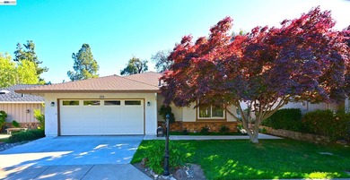 PALM SPRINGS IN DANVILLE!!! DOWNSIZE WITHOUT COMPROMISING ON - photo 1