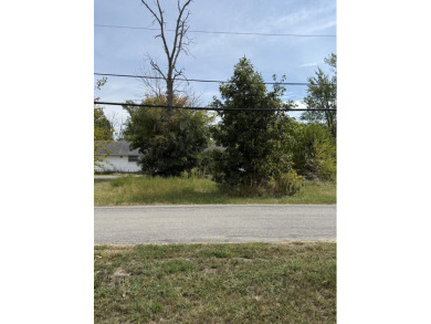 Indian Lake Lot For Sale in Lakeview Ohio