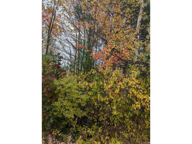 (private lake, pond, coastal) Acreage For Sale in Freedom Maine