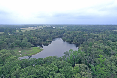 Home on 40 Acres with Approx 5 Acre Private Lake in Quitman Tx. - photo 28