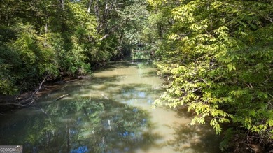What a rare gem! Imagine 4 wooded and private acres, 750ft - photo 4