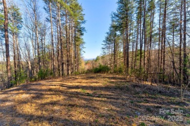 Lake Acreage For Sale in Nebo, North Carolina