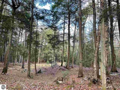 Lake Michigan - Charlevoix County Acreage For Sale in Beaver Island Michigan