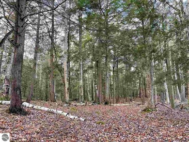 Gently rolling hills and towering hardwoods set the tone for - photo 2