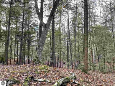 Gently rolling hills and towering hardwoods set the tone for - photo 3