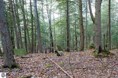 Gently rolling hills and towering hardwoods set the tone for - photo 4