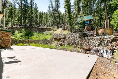 The 4200 (+/-) Sq. Ft. 3 Bedroom Cabin is situated on one of the - photo 5