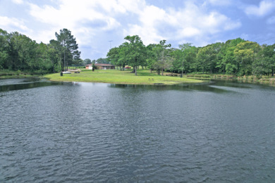 Home on 40 Acres with Approx 5 Acre Private Lake in Quitman Tx. - photo 6