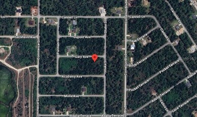 Port Charlotte Waterway Area Lot For Sale in Port Charlotte Florida