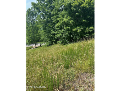 Want a lakeview lot in a great community in the middle of Norris - photo 1