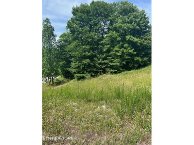 Want a lakeview lot in a great community in the middle of Norris - photo 2
